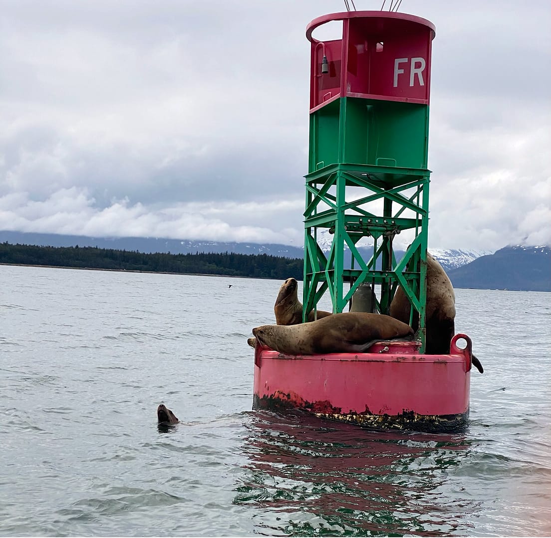 019bed2831028cb267648e20cbc6ef01f6088b8d88_revised