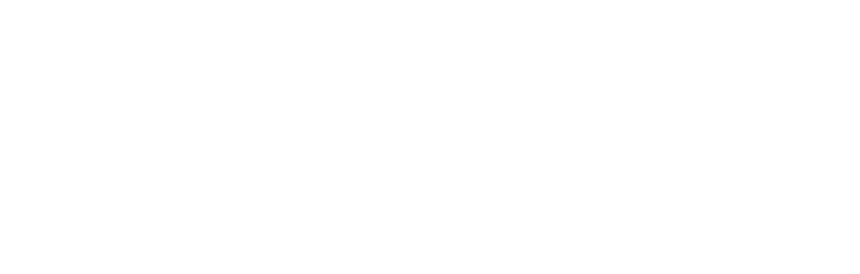 Sea Lion Adventure Tours